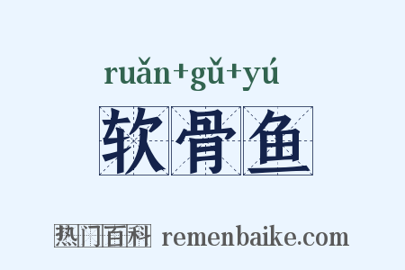 软骨鱼是什么意思的图片